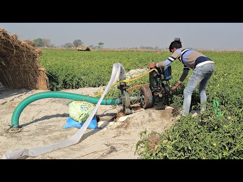 New 8hp Kirloskar diesel engine water pump machine starting kisaan farming sichai work #waterpump