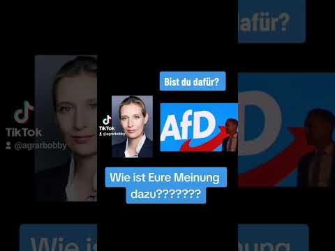Was PASSIERT wenn DIE AFD GEWINNT ?! Eure Meinung? WTF / OMG [ Alice Weidel ]