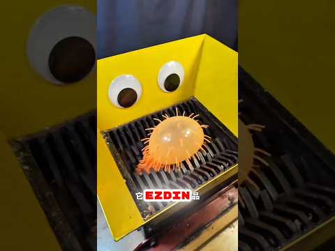 Ev bir yıkım alanına dönüştüğünde💥😂🙈
