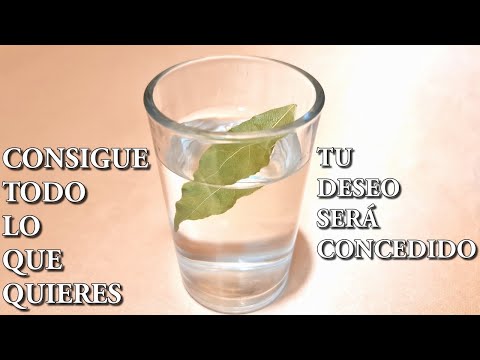 CONSIGUE TODO LO QUE QUIERES Con Un Vaso De Agua y Una Hoja De Laurel El Secreto Del vaso Con Agua