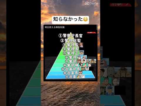 これ勉強になる　#shorts #おもしろ #名探偵コナン #警察 #雑学