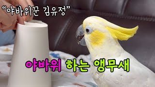 바나나킥을 찾아라!!! 🍌 김유정과 투닭투닭