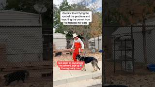 Dog Daddy Working With A Reactive German Shepherd In Utah.