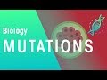 Understanding Mutations and Their Effects