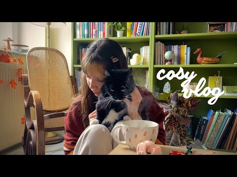 vlog de rentrée 🌻🍂 de nouvelles aventures et des au-revoir