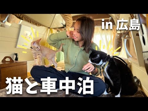 猫2匹と夫婦の平凡な日常 in 広島【車中泊】