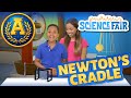 Exploring the Mechanics of Newton's Cradle