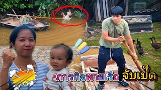 ภารกิจพายเรือจับเป็ดเนื่องจากเป็ดลงไปกินข้าวนาคนอื่น #เป็ด #พี่บิวน้องหนู