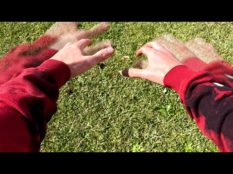 I Tried Living with Lag (for an entire day)