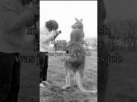 When violence becomes art #photography #photo #art