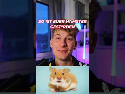 Die armen Hamster haha