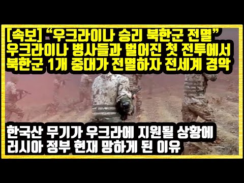 [속보] "우크라이나 승리 북한군 전멸" 우크라이나 병사들과 벌어진 첫 전투에서 북한군 중대가 전멸하자 전세계가 경악 한국무기가 우크라에 지원될 상황에 러시아 정부 망하게 된 이유