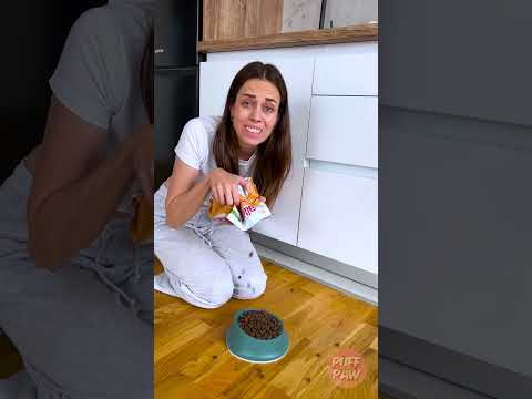 🐈 القطة تعرف كيف تتحكم بصاحبها 😎