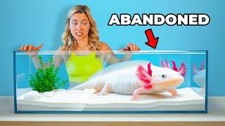 I Rescued an Abandoned Axolotl...