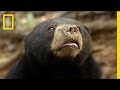 Understanding the Role and Conservation of Sanders