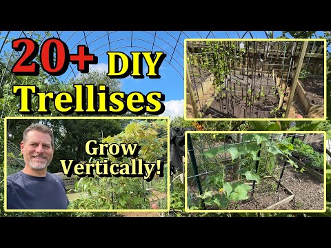20 Easy DIY Vegetable Garden Trellises You Can Build  (Grow Vertically & Growth Examples)