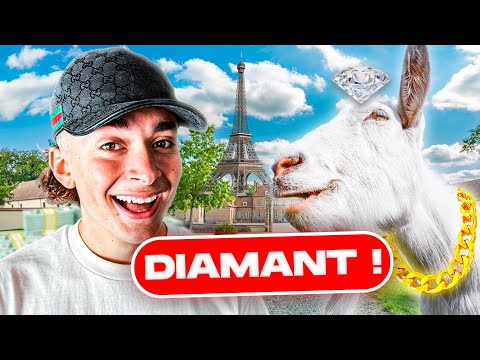 POURQUOI CETTE CHÈVRE A UNE CHAÎNE EN DIAMANT ! (10 000€) 😭