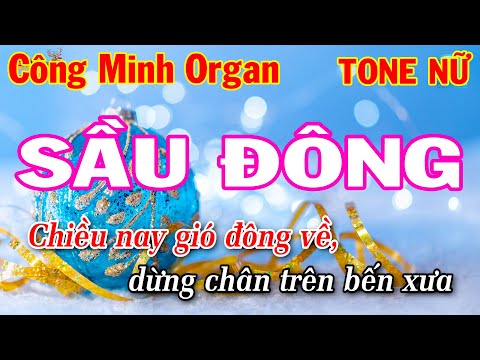 Sầu Đông Karaoke Tone Nữ Rumba ( Am ) Nhạc Trẻ 8x 9x