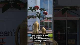 금산 인삼 랜드, 인삼 수변공윈, Geumsan Ginseng Land.
