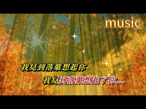 又見落葉〈華語〉葉麗儀KTV 伴奏 no vocal 無人聲 music 純音樂 karaoke 卡拉OK 伴唱又見落葉〈華語〉葉麗儀