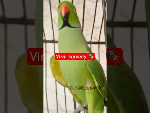 #comedy #viralvideo #parrot #trending #animals