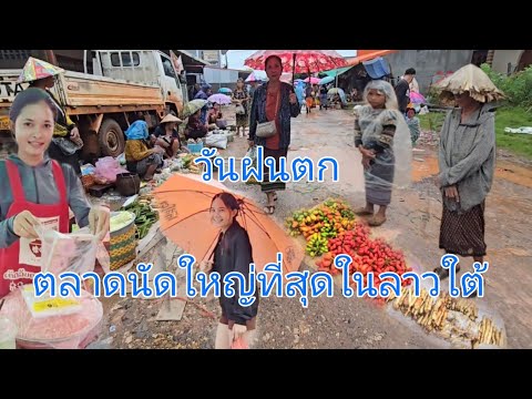 #เที่ยวลาวใต้ ตลาดนัดทุกวันเสาร์ บ้านดอนตะลาด ในวันพายุเข้าฝนตก #อาหารตามฤดูกาล #แขวงจำปาสัก #สปปลาว