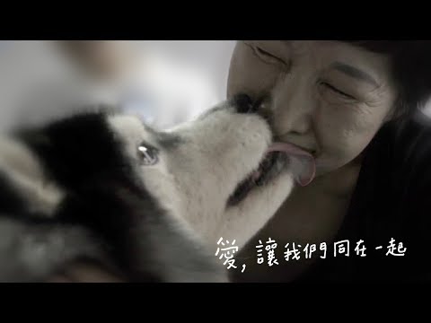 【福壽實業支持台灣狗醫生計畫】愛，讓我們同在一起－2017台灣狗醫生微電影《馬大姐篇》