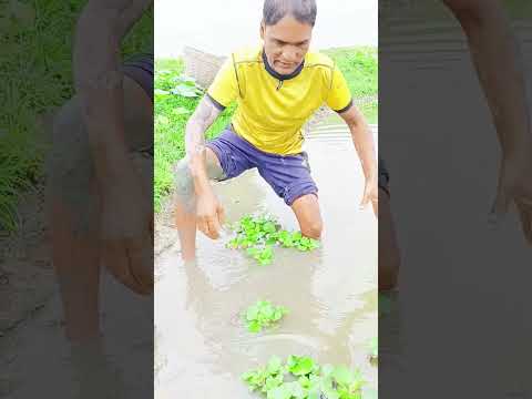 এত বড় মাছ কিভাবে দরল।