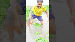 এত বড় মাছ কিভাবে দরল।