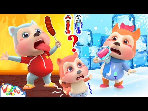 🔥Hot Food VS Cold Food Challenge❄️Take care sibling song🎵 Wolfoo Family Song