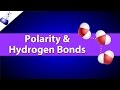 Understanding Electronegativity and Bonding in Molecules