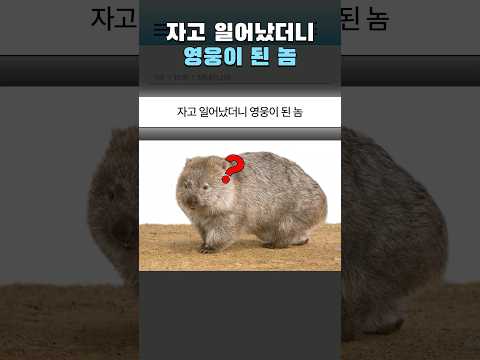 자고 일어났더니 영웅이 된 동물