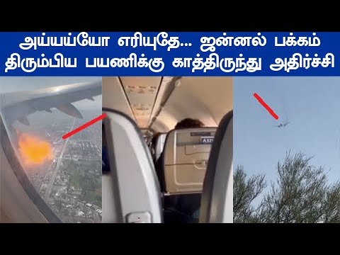 கன் முன்னே கண்டு அலறிய விமான பயணிகள் வைரலாகும் வீடியோ American Airlines Flight அமெரிக்க விமானம்