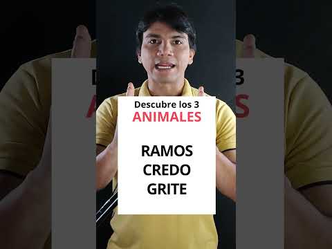 Descubre los anagramas