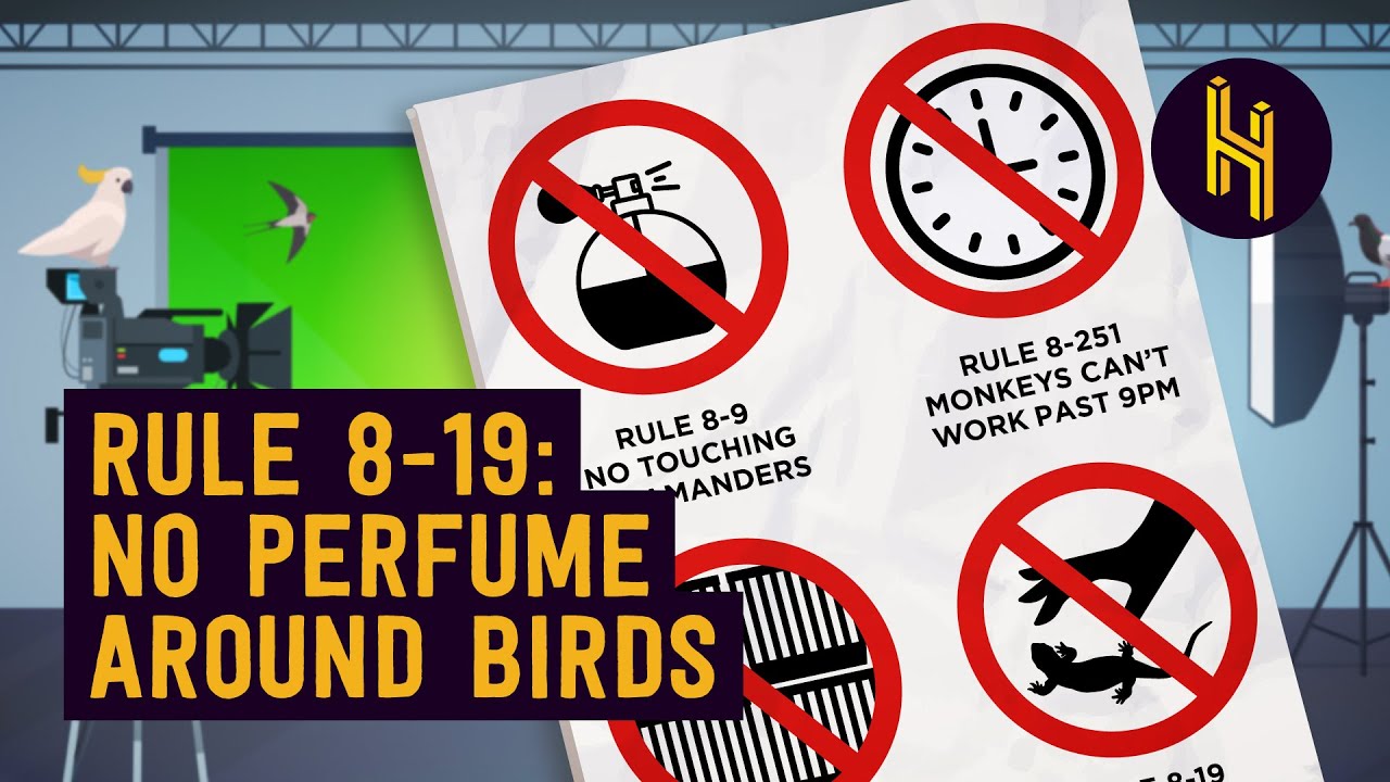 The 467 Rules You Have to Follow to Put an Animal in a Movie