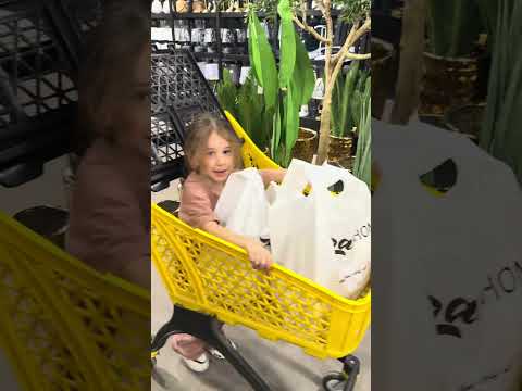 صفا ولولو سرقو العربايات 😱