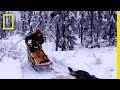 Iditarod Race Insights