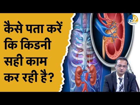 Health News:आज के समय में क्यों बढ़ रहीं किडनी से जुड़ी बीमारियां,जानिए किडनी खराबी के लक्षण और इलाज