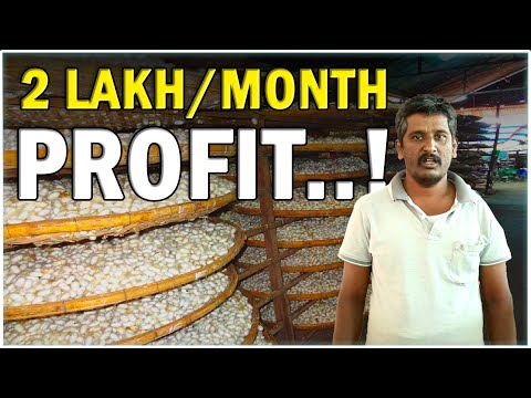 Sericulture - Silk Farming | Success Story