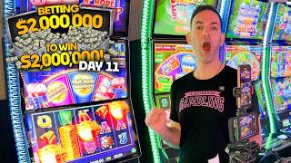 Feeling lucky on  Piggy ‘N More Bankin… 💵 Day 11: Betting $2M to WIN $2M
