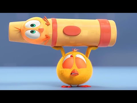 Chicky's toothbrush | Where's Chicky? | Cartoon Collection in English for Kids | New episodes