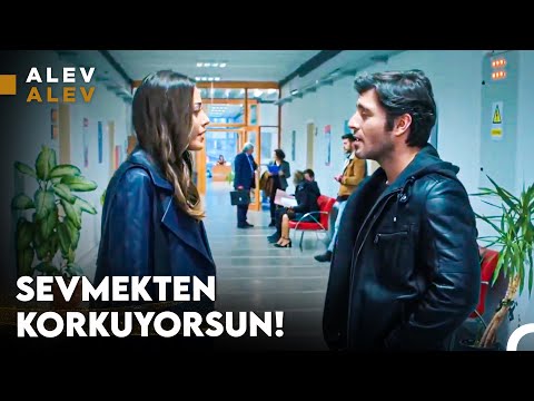 Korkak Bir Adamsın Ömer! - Alev Alev