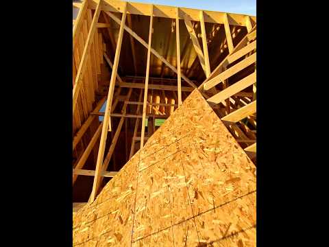 Ahora yo soy el lento