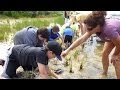 Environmental Science Program Insights
