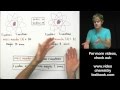 Differentiating Mass Number and Atomic Mass