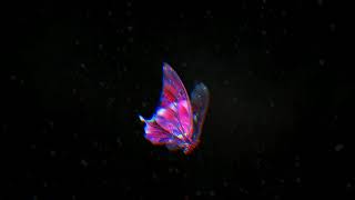 *FREE* Travis Scott x Future x Young Thug Type Beat - "Euphoria"