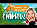 Animal Recognition and Video Themes