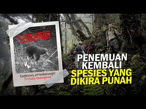 Kolaborasi yang Klop di Ekspedisi Cyclops #AlamSemenit