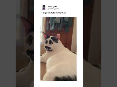 böyle videolar için kanalımıza abone olmayı unutmayın canım kardeşlerim