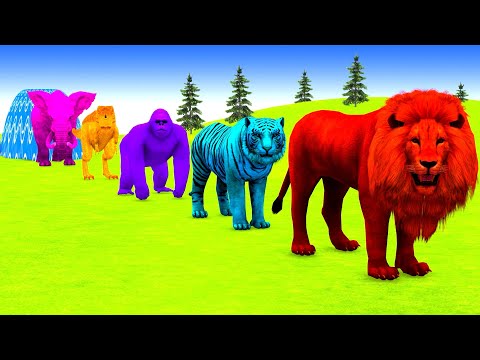 Long Slide Game With Cow Elephant Gorilla Hippopotamus Tiger - 3d Animal Game - Funny 3d Animals